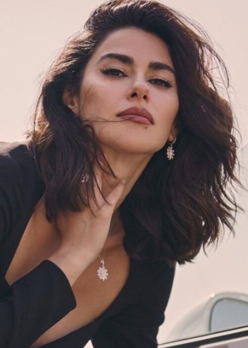 Nesrin Cavadzade, Daha On Yedi dizisinde Şebnem oldu