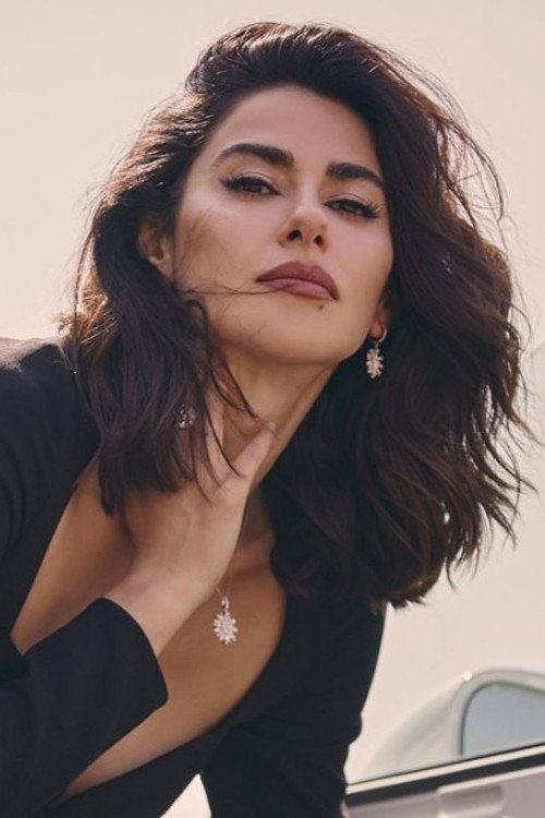 Nesrin Cavadzade, Daha On Yedi dizisinde Şebnem oldu